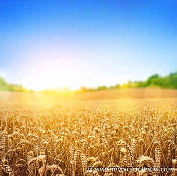 Health Units urge heat safety as heatwave continues