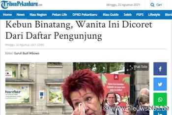 Nieuws over Adie’s contactverbod met chimpansee Chita gaat de wereld over