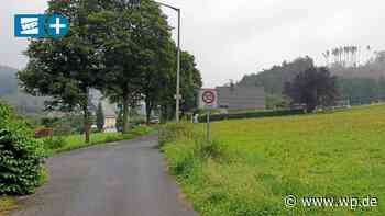 Netphen: Grissenbacher Ahornallee soll Bauplätzen weichen - WP News