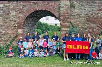 Kleine „Einsteins“ erforschten Hardheim - Fränkische Nachrichten