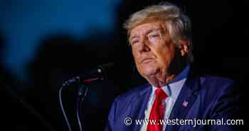 Trump Hints at 2024 Run While Slamming Biden Over Afghanistan: 'Nobody's Ever Seen Embarrassment Like This'