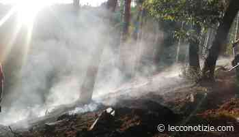 Torna a bruciare la pineta di Sormano, intervengono pompieri e volontari - Lecco Notizie