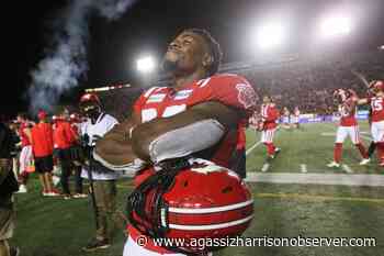 Vaccinations to be required for fans at Calgary Flames, Stampeders, Hitmen games - Agassiz-Harrison Observer