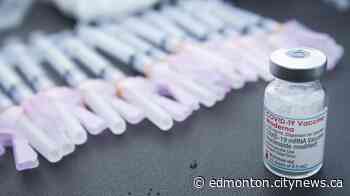 Calgary businesses look at vaccine passports in lieu of a provincial system - CityNews Edmonton