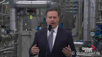 Calls grow louder for Alberta Premier Jason Kenney to return to work