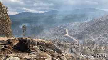 B.C. wildfire conditions trending in the right direction, official says