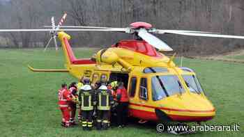 di Clusone - muore schiacciato da una pianta - Araberara