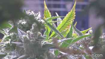 Local leaders hold roundtable discussion on recreational marijuana