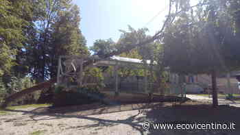 Tretto di Schio, un albero si spezza e si abbatte sulla pensilina della scuola primaria - L'Eco Vicentino