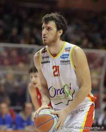 Colpo Wispone Taurus Jesi: dal Basket Lugo arriva l'ala Elia Bravi - Serie C Gold - Basketmarche.it