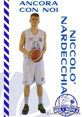 Nuovo Basket Aquilano, ufficiale la conferma dell'ala Niccoló Nardecchia - Serie C Gold - Basketmarche.it