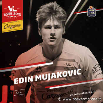 Ufficiale, il Pisaurum Pesaro aggiunge l'ala Edin Mujakovic - Serie C Gold - Basketmarche.it