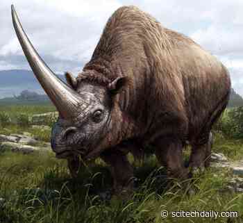 Reconstructing Extinct Rhinos: Geneticists Map the Rhinoceros Family Tree
