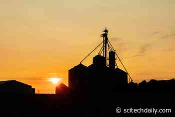 Human Waste Is Nutrient-Rich – It Can Be Used To Sustain Agriculture and Improve Economies