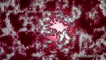 Like Venom Coursing Through the Body: Mechanism Driving COVID-19 Mortality Identified