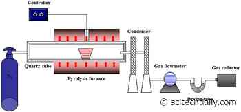 Turning Hazelnut Shells Into a Clean, Renewable Energy Source