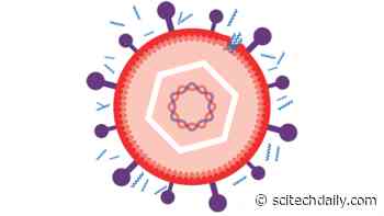 Synthetic Peptide Mimics: Possible New Antivirals Against COVID-19 and Herpes