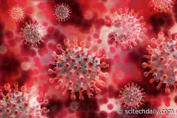 Blood Test Can Track the Evolution of COVID-19 Coronavirus Infection