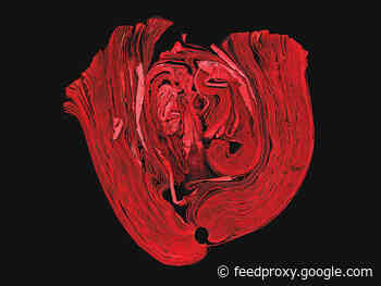 Life, Death and Numbers: Ann Patchett on the Members Of The National Academy Of Arts And Letters