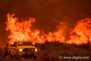 'Gross negligence': California county supervisor blasts U.S Forest Service over wildfires - SFGate