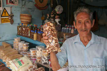 Brazil punching below its weight in getting forest products to the world - Mongabay.com