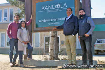 Quesnel's Kandola Forest Products presents to CRD, looking for help finding stable fibre supply – Williams Lake Tribune - Williams Lake Tribune