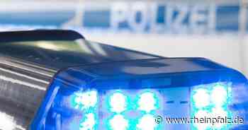 Mit Steinen drei Autos beschädigt - Bad Dürkheim - Rheinpfalz.de