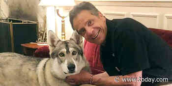 Andrew Cuomo responds to report he left his dog behind at governor’s mansion