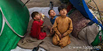How to adopt Afghan refugee children