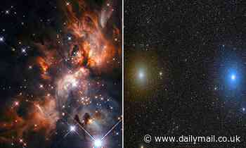 NASA's Hubble Space Telescope snaps image of new stars popping out of a 'stellar nursery'