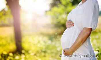 Sunshine can reduce the risk of premature birth, study claims 