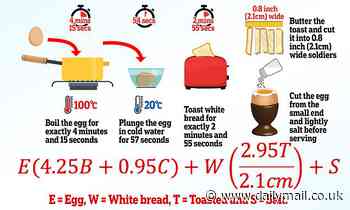The formula for the perfect egg and soldiers requires 'thermometer and ruler'