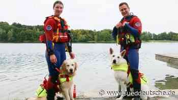 Karlsfelder See: Rettungshunde unterstützen Wasserwacht - Süddeutsche Zeitung