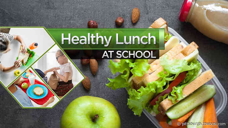 Back To School Lunches: Sending Your Child To School With A Healthy But Tasty Lunch