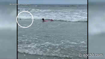 Close call: Video shows shark swimming dangerously close to 11-year-old girl