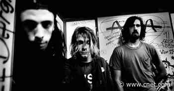 The Nevermind baby, now 30, is suing Nirvana over child porn allegations     - CNET