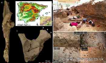 Ancient camp is discovered in Madrid where Neanderthals hosted 'hunting parties'