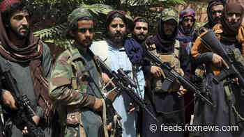 Taliban warns women to stay indoors, say their fighters are not trained to respect women