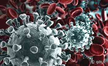 Iniziative contro il Covid-19 intesa fra Sicindustria e Asp Enna - Quotidiano di Sicilia