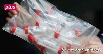 Lolli-Tests in Bischofsheim starten kurz nach den Ferien - Echo Online