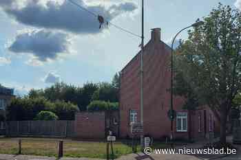 Heraanleg perceeltje grond start in najaar