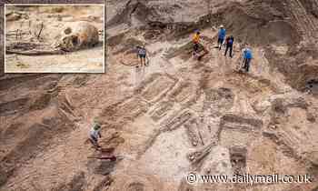 Mass grave of 18th century plague victims found in northern Poland during construction for apartment