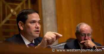 Rubio Says Biden Should Threaten Taliban with Death If They 'Get in the Way' of Evacuating Americans
