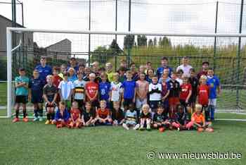 Voetbalschool Samba vindt tweede adem (Herne) - Het Nieuwsblad