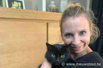 Vrouw uit Schoten vindt haar vermiste kat na vijf jaar terug in asiel van...Schoten