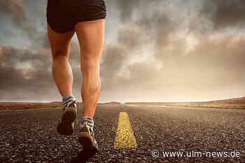 Hochwertige Vitalpilze für Energie und Jugendlichkeit