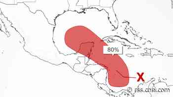 Hurricane in the Gulf? It's possible early next week