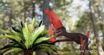 Police raid unearths prehistoric flying reptile in remarkable condition     - CNET