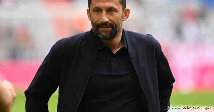 Salihamidzic: «Natürlich kriegt jeder mal auf die Schnauze»