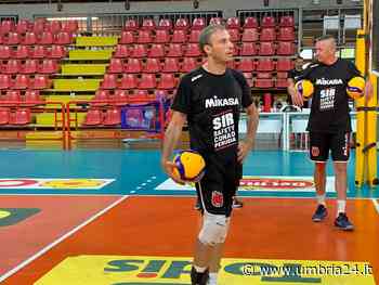 Ecco Colaci: «Sir favorita? Anche Modena e Lube si sono rinforzate» - Umbria 24 News